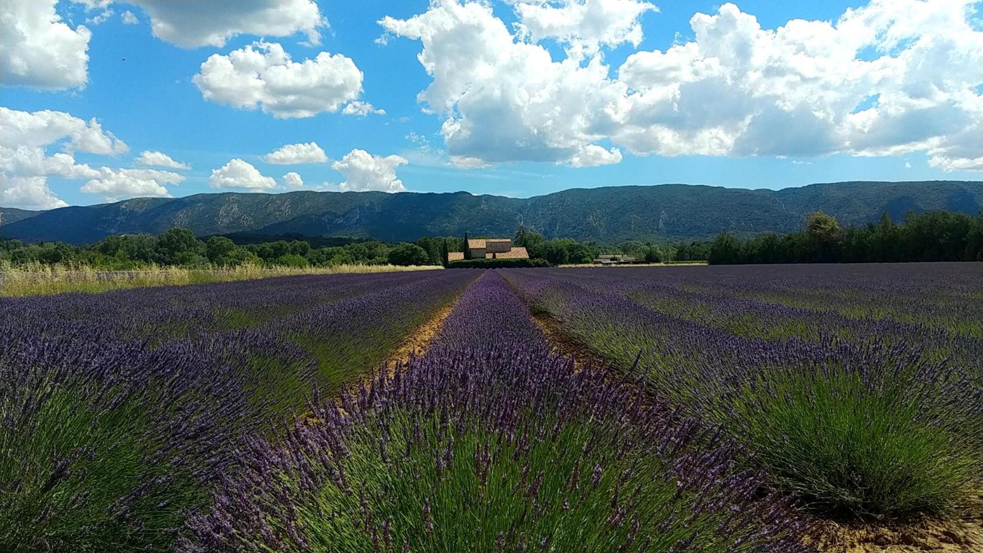 Le Mas De Roussillon Руссільйон Екстер'єр фото